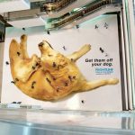 20+ Funny Advertising Ideas