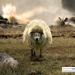 20+ Funny Advertising Ideas